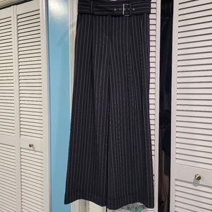 Express Pinstripe Wide Leg Dress Pants